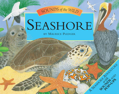 Seashore