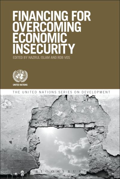 Development Financing and Economic Insecurity