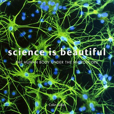 Science Is Beautiful