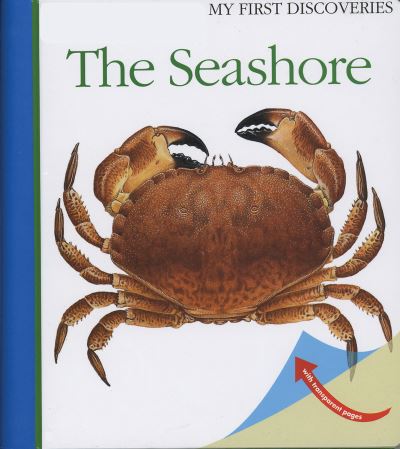 The Seashore