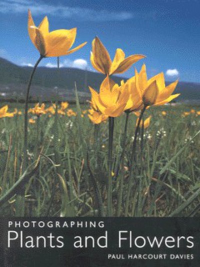 Photographing Plants and Flowers