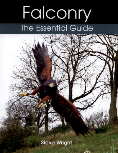 Falconry