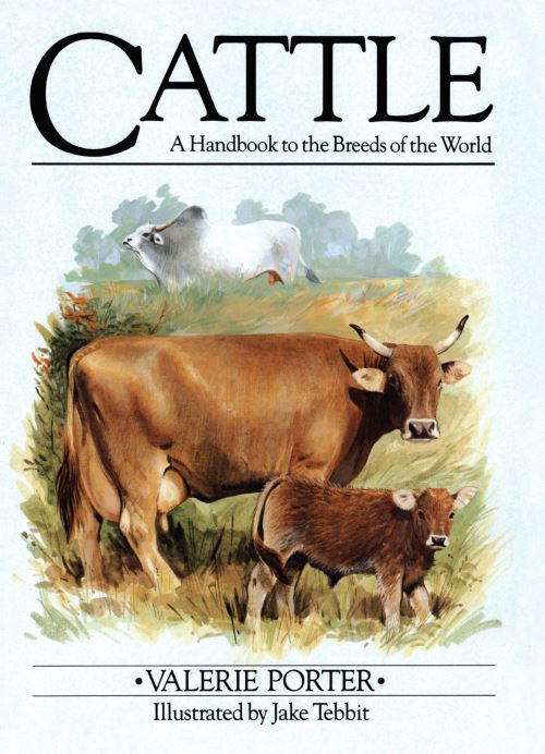Cattle