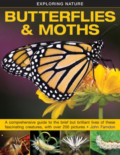 Butterflies and Moths