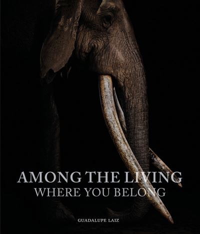 Among the Living, Where You Belong