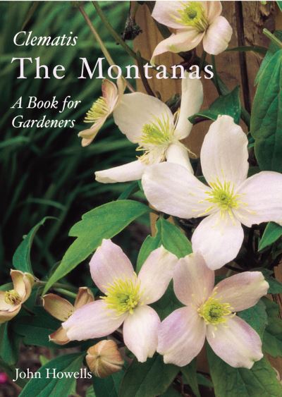 The Montanas