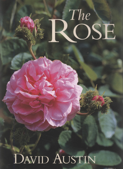 The Rose