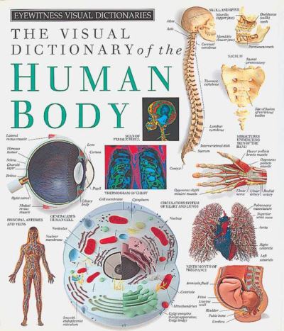Eyewitness Visual Dictionaries