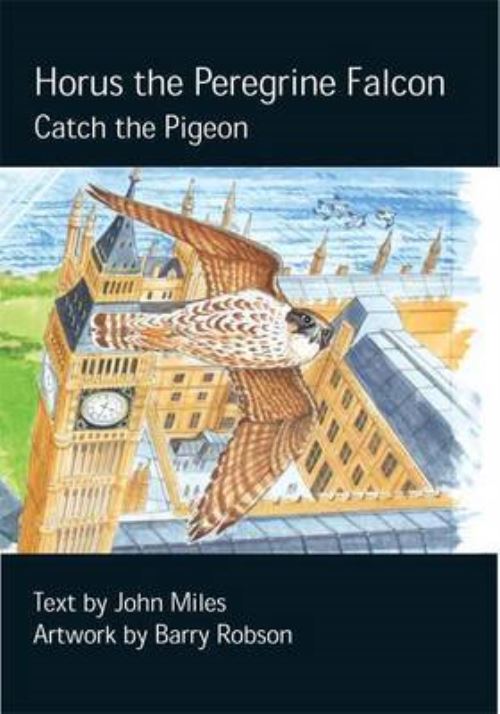 Horus the Peregrine Falcon
