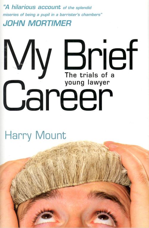 My Brief Career