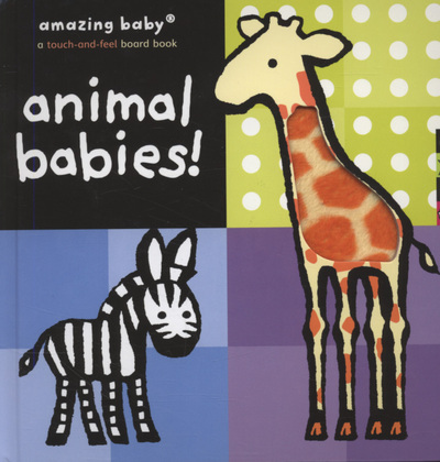 Animal Babies!