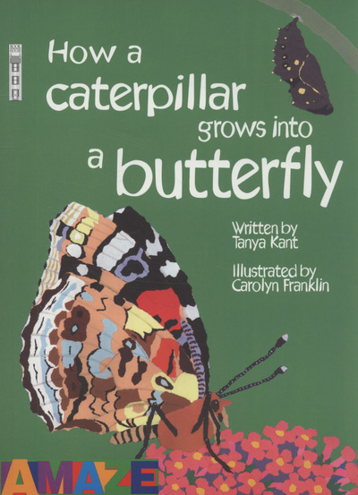 How a Caterpillar Grows Into a Butterfly
