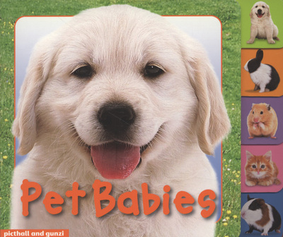 Pet Babies