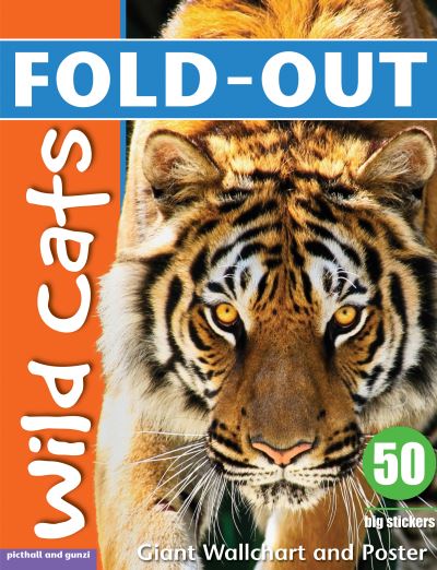 Fold-Out Poster Sticker Book