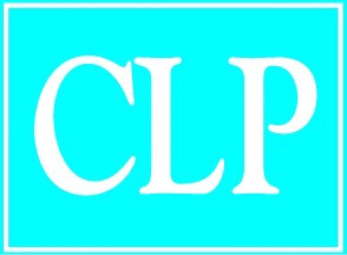 Criminal Litigation