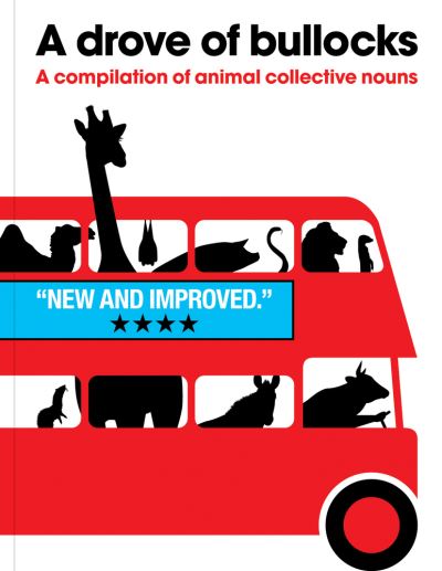 A Drove of Bullocks