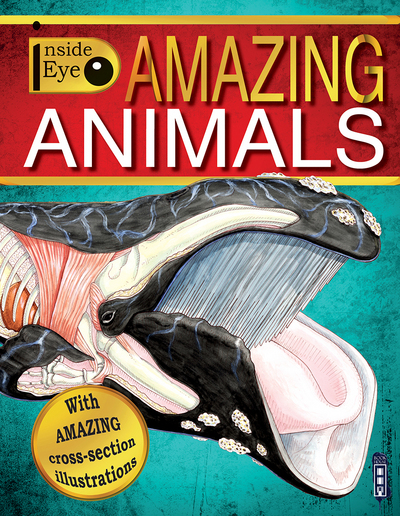 Amazing Animals