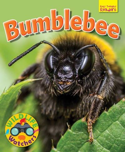 Bumblebee