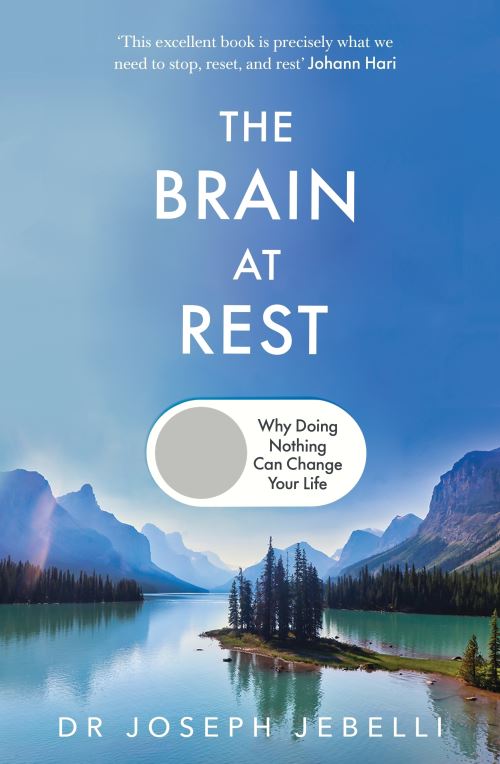 The Brain at Rest