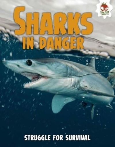 Sharks in Danger
