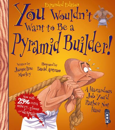 You Wouldn't Want to Be a Pyramid Builder!