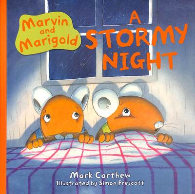 A Stormy Night