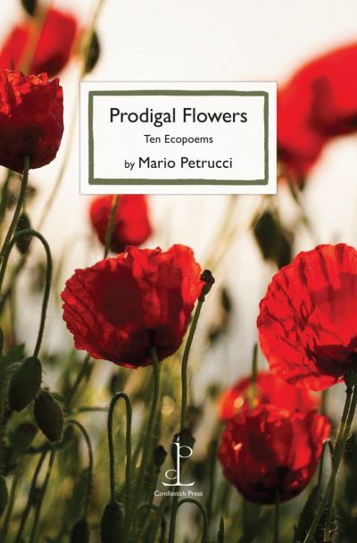 Prodigal Flowers