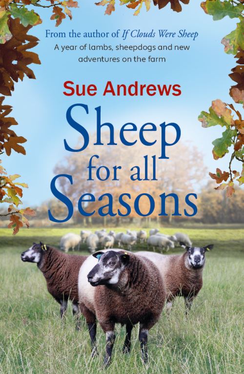 Sheep For All Seasons