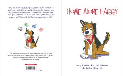 Home Alone Harry