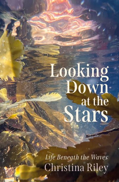 Looking Down at the Stars