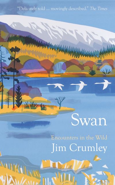 Swan