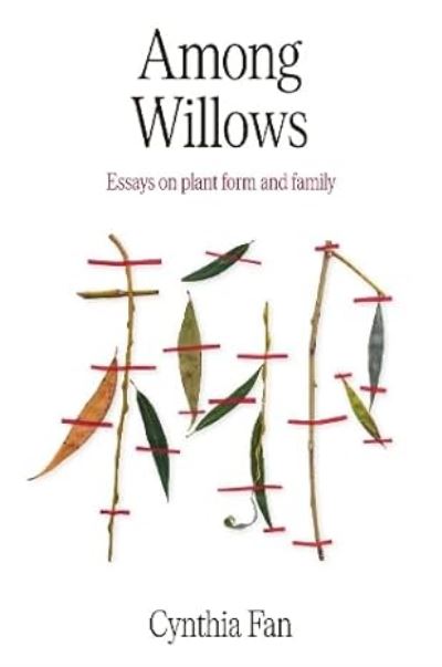 Among Willows