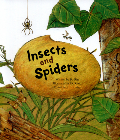 Insects and Spiders