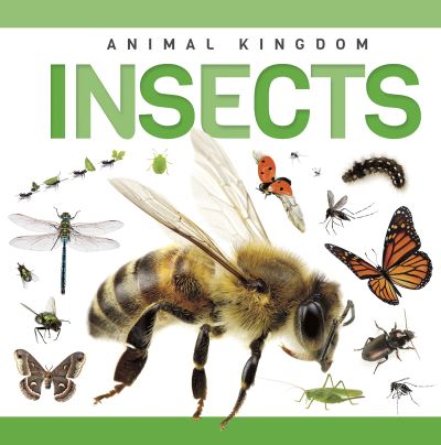 Insects. Hardcover