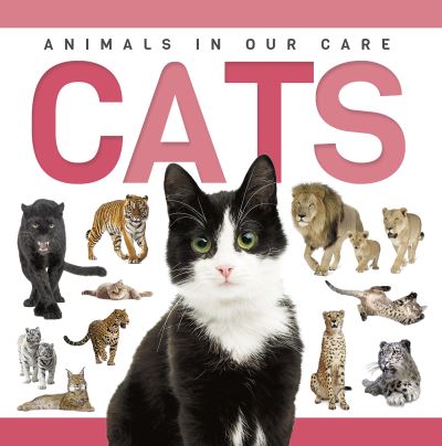 Cats. Hardcover
