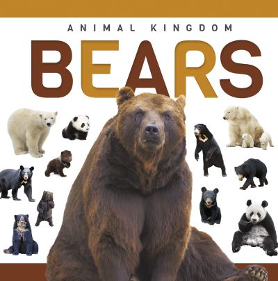 Bears. Paperback