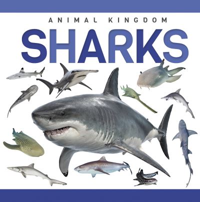 Sharks. Paperback