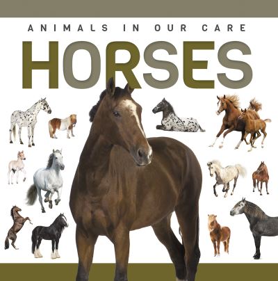 Horses. Paperback