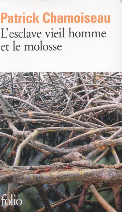L'esclave Vieil Homme Et Le Molosse