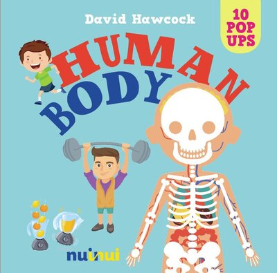 Human Body