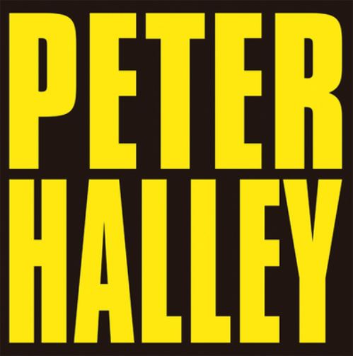 Peter Halley