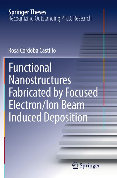 Functional Nanostructures Fabricated by Focused Electron/Ion Beam Induced Deposition