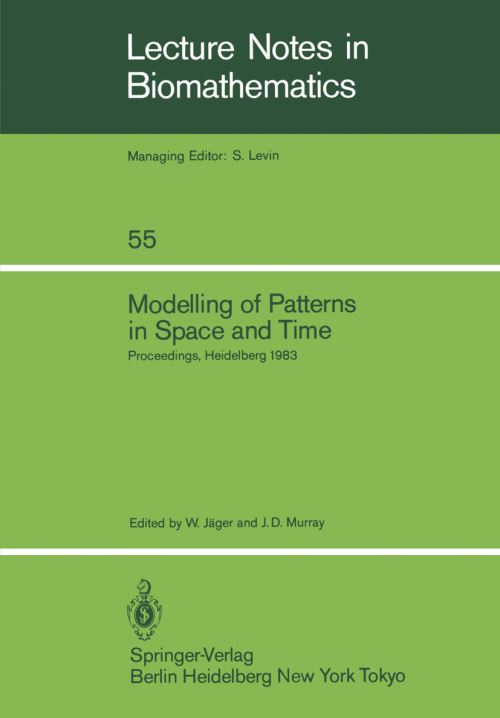 Modelling of Patterns in Space and Time