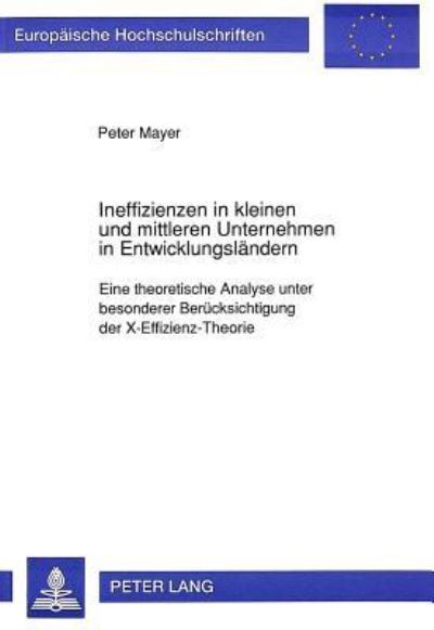 Ineffizienzen in Kleinen Und Mittleren Unternehmen in Entwicklungslandern