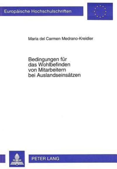 Bedingungen Fur Das Wohlbefinden Von Mitarbeitern Bei Auslandseinsatzen