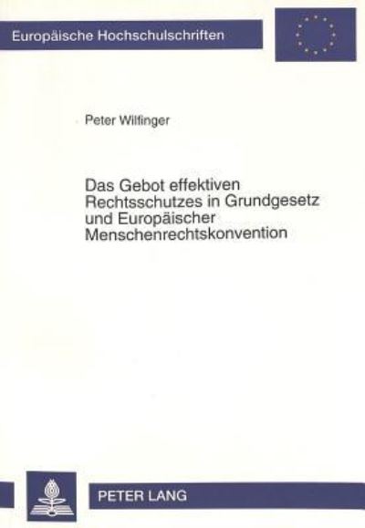 Das Gebot Effektiven Rechtsschutzes in Grundgesetz Und Europaischer Menschenrechtskonvention