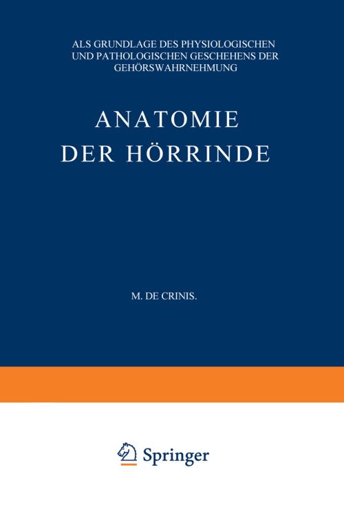 Anatomie Der Hörrinde
