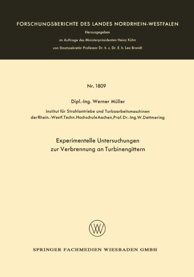 Experimentelle Untersuchungen Zur Verbrennung an Turbinengittern