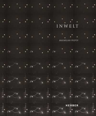 Maximilian Prüfer - Inwelt