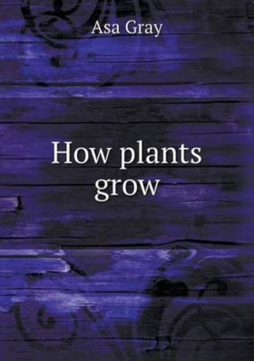 How Plants Grow